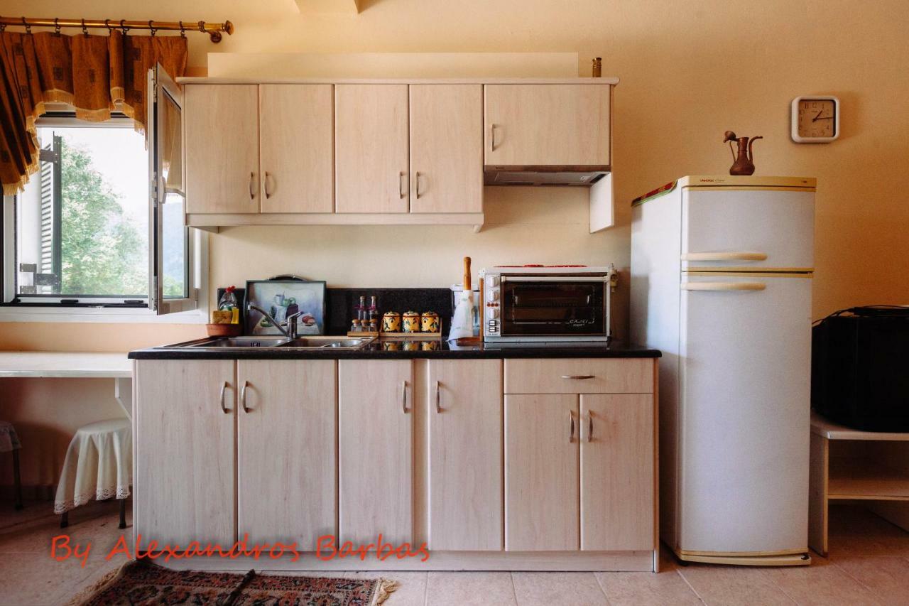 Bourikos House Corfu Apartment Ano Korakiana Bagian luar foto